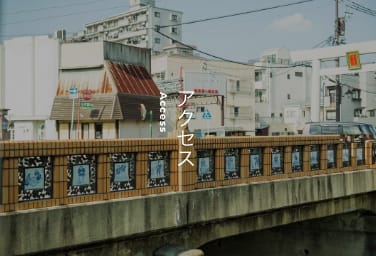 Amazon.co.jp: 座頭市とスターたち10「浅丘ルリ子・原田美枝子