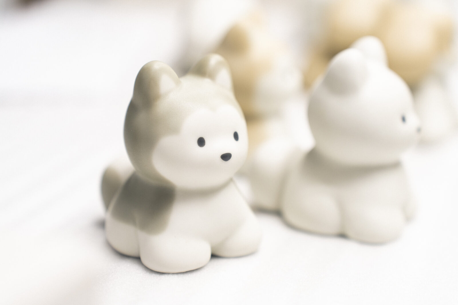 STUDIO 894 | てらおかなつみ 「犬の絵展」